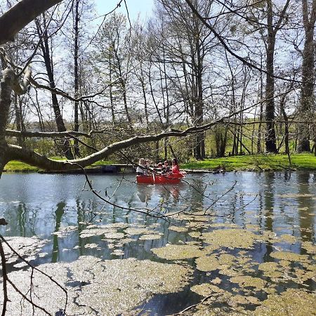 Le Moulin Des Aulnes Villa Hamois Bagian luar foto